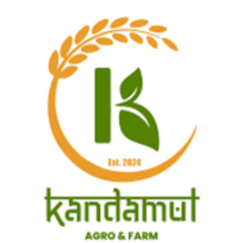 Kismis (200gm)