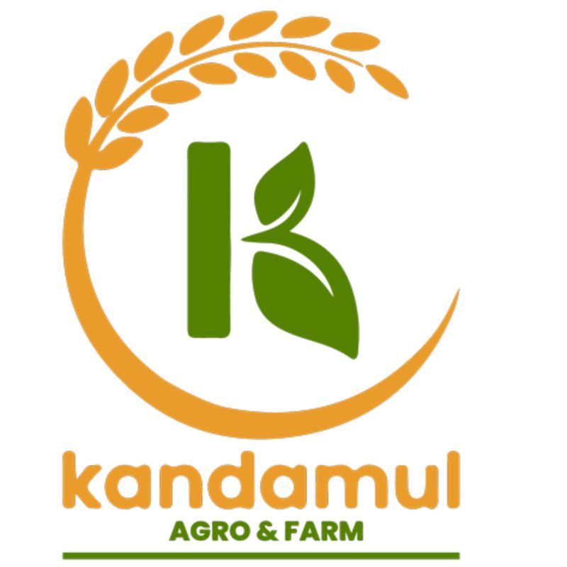 buckwheat pasta (400gm)