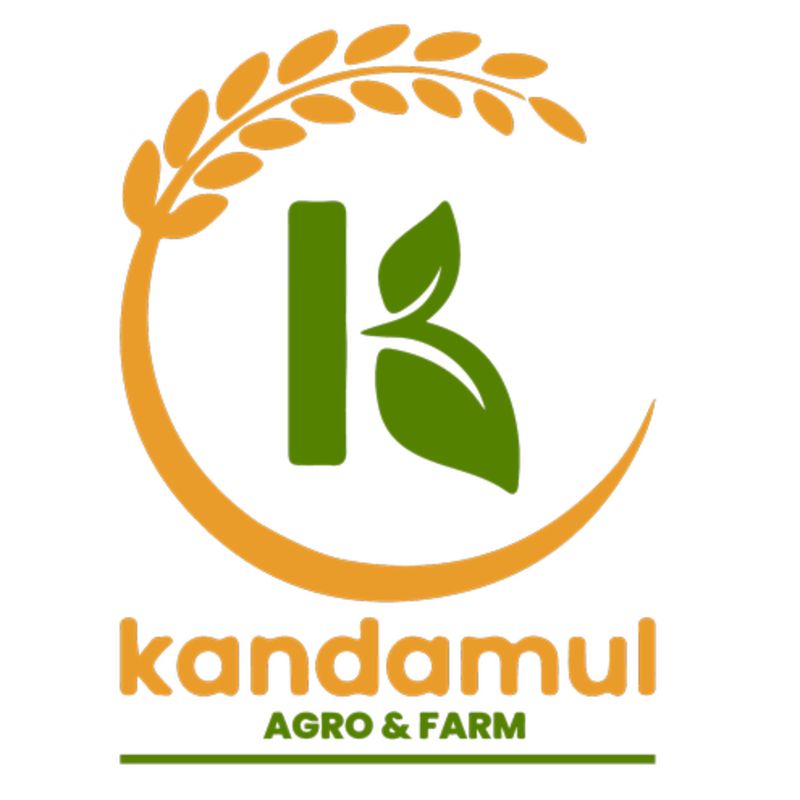 Jujudhau Dahi(small)