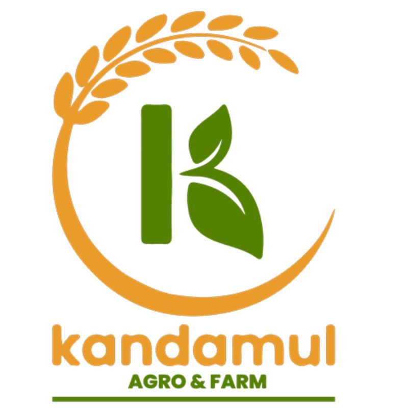 Super Coconut Cookies(400gm)