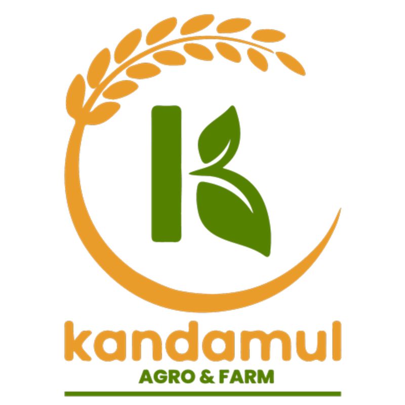 Olive extra virgin oil (small)