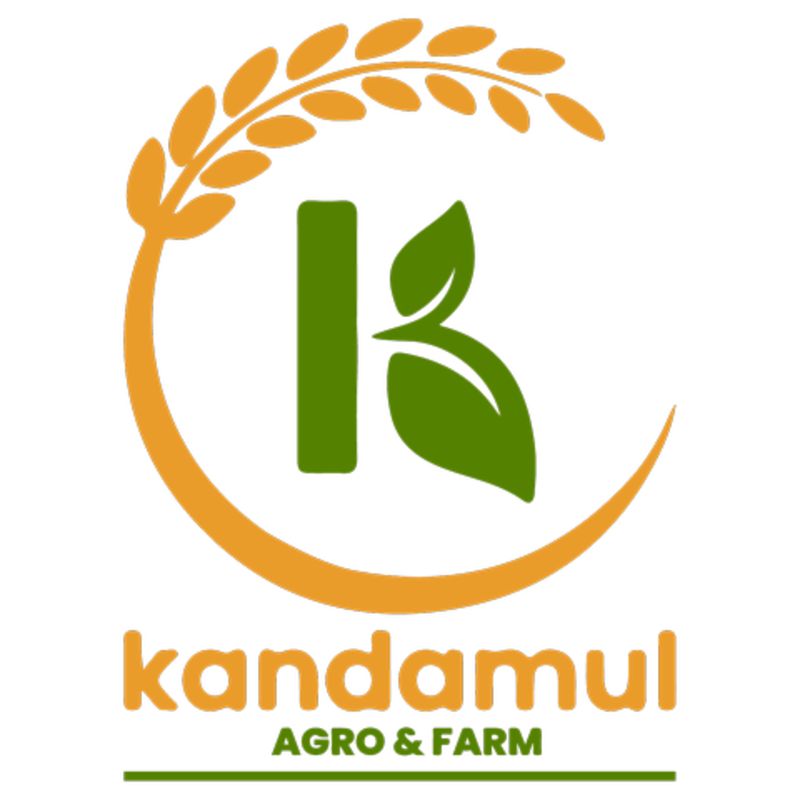 Sugar Free Marie Biscuit