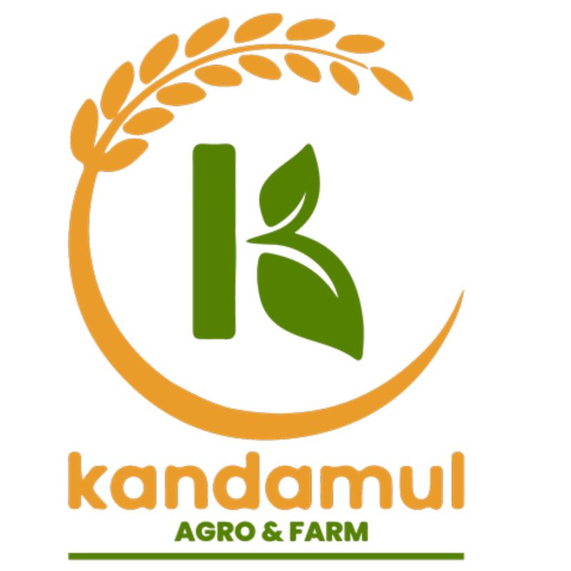 Pintola chocolate oats(400gm)