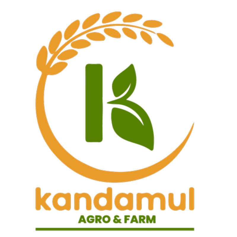 Lekbeshi lapsi powder