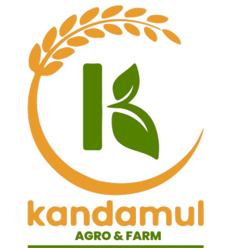 Ilam Green Tea(100gm)