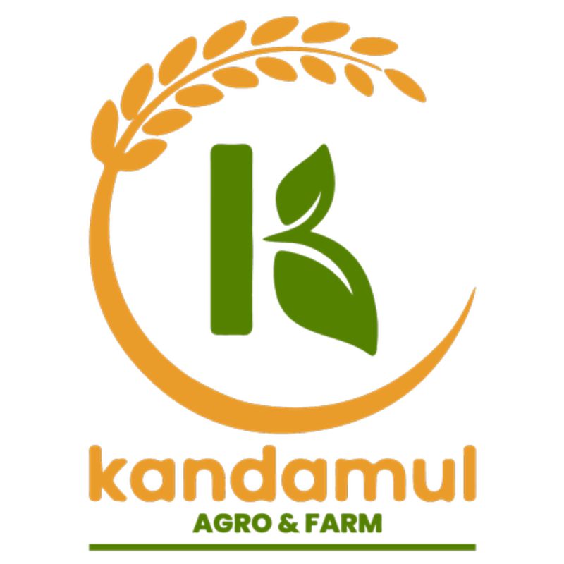 Pintola Peanut butter(big)