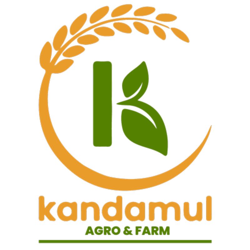 Tiffany Digestive Lite Biscuit