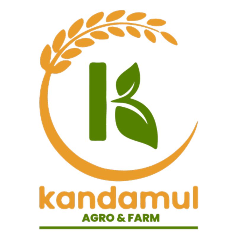 Lapsi candy spicy,hing flavored(200gm)