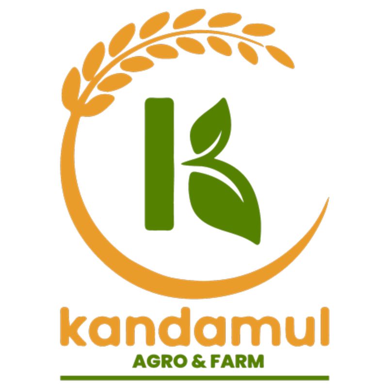 Digestive Natural biscuit (540gm)