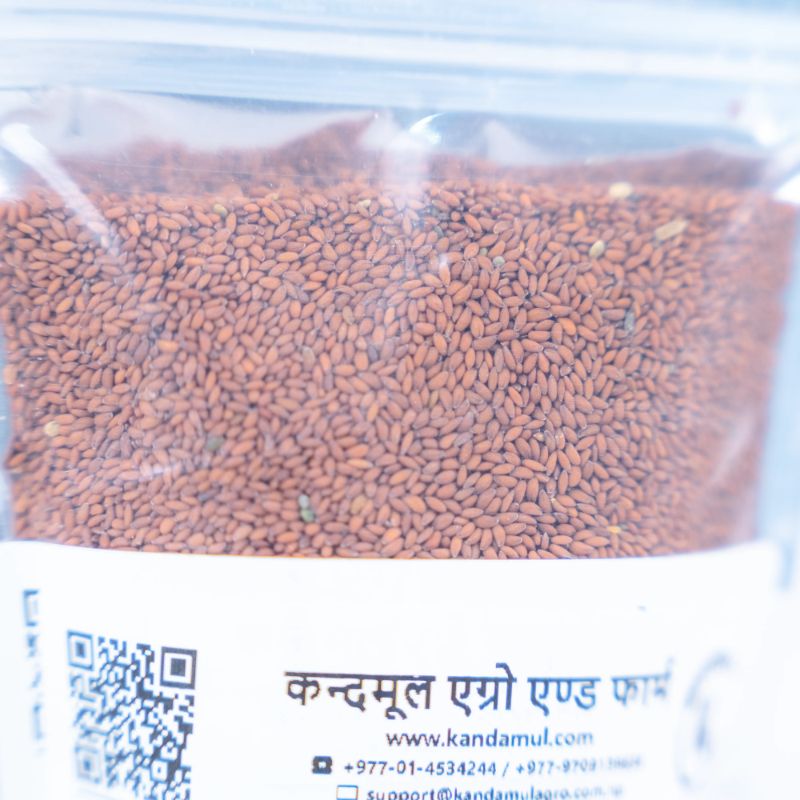 Chamsur Dana(250gm)