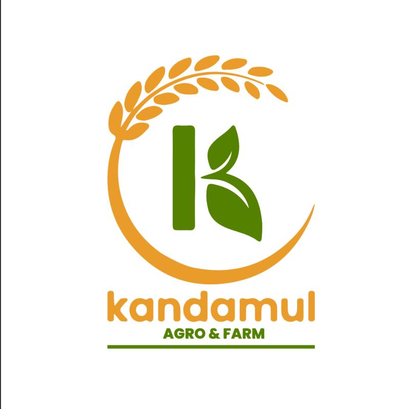 240 Kaju (500gm)