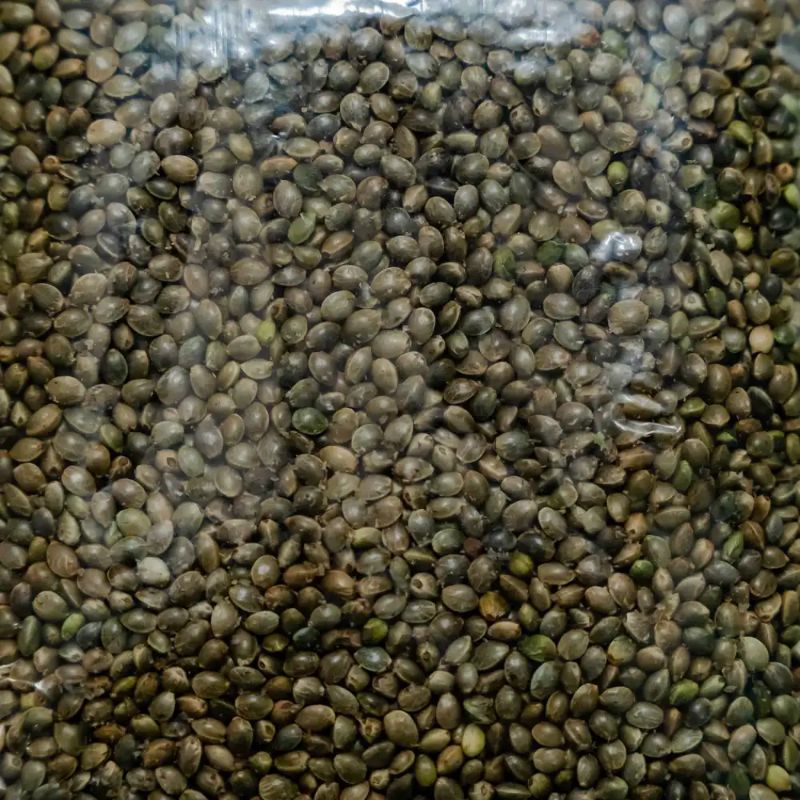 Bhaang(1kg)
