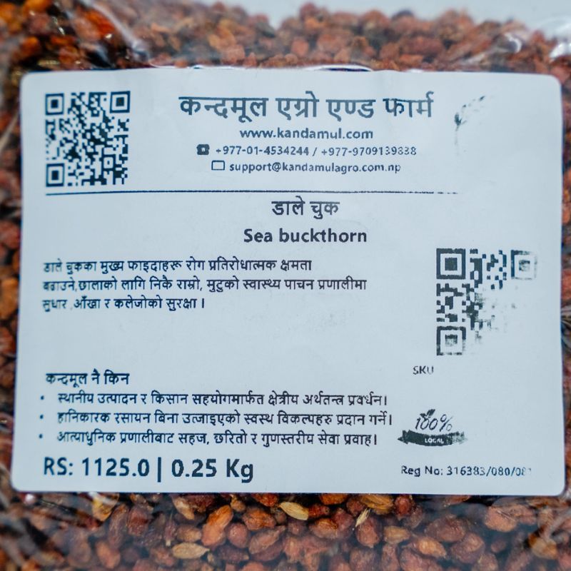Sea buckthorn