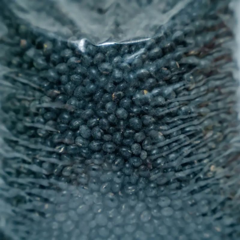 Kalo Bhatmas(500gm)