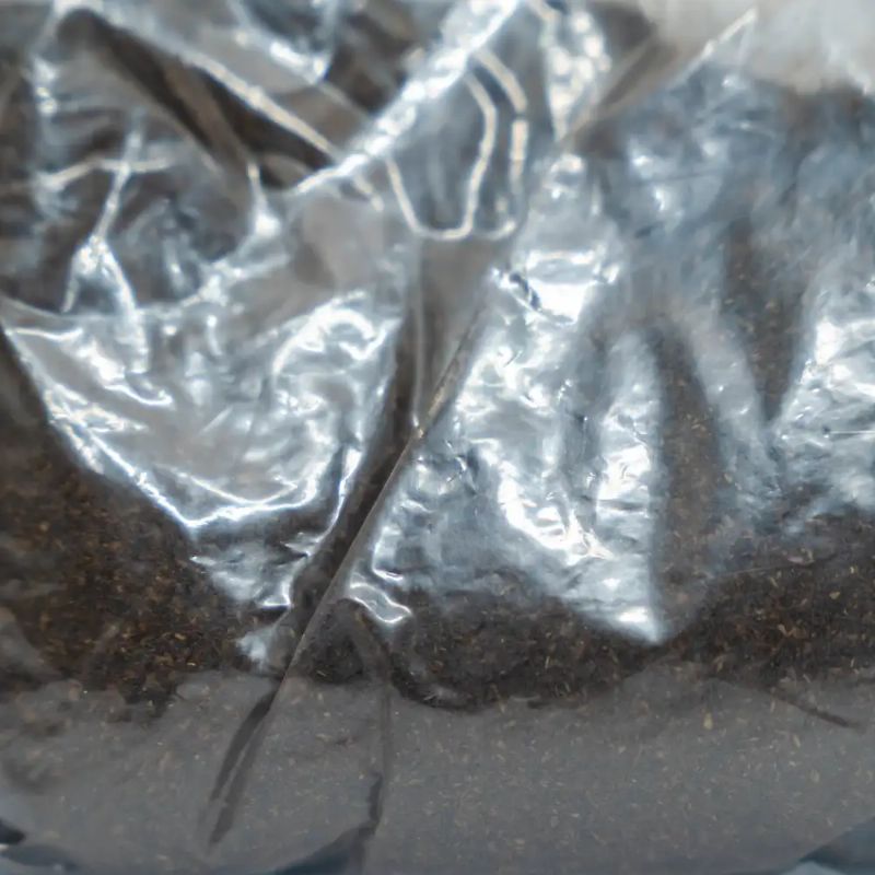 Timur Powder(100gm)