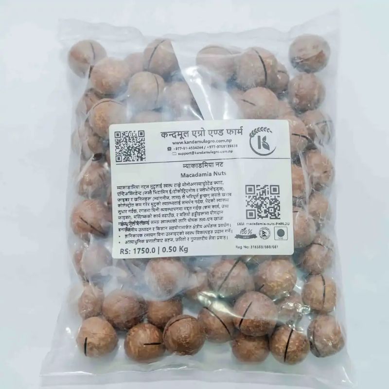 Macadamia Nut