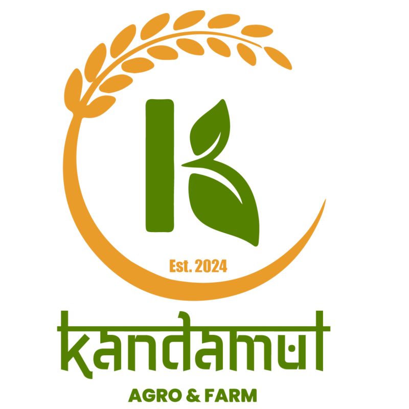 Kitkat Dark Delight (1 box)