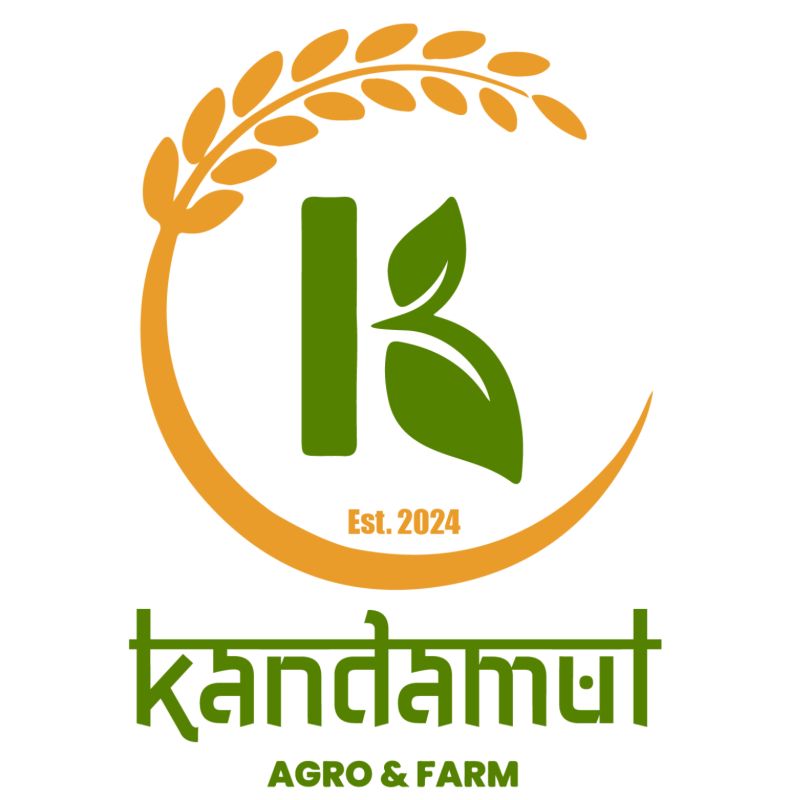 Masuro daal (half kg)