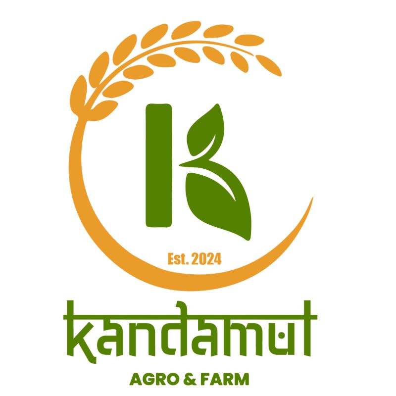 Chamsur Dana (half kg)