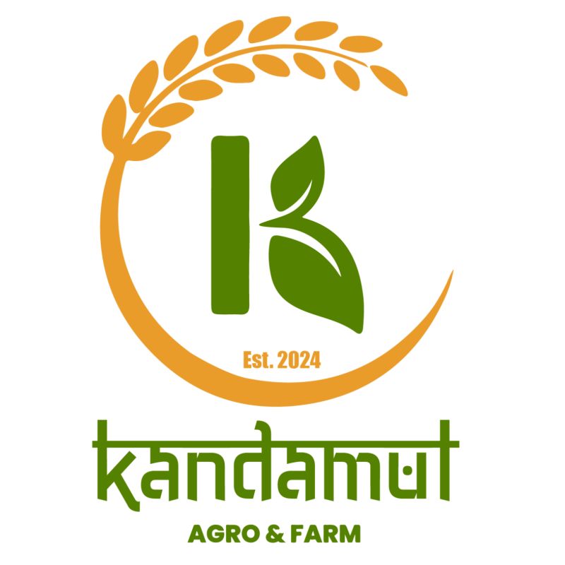 Gond katira ( 250gm)